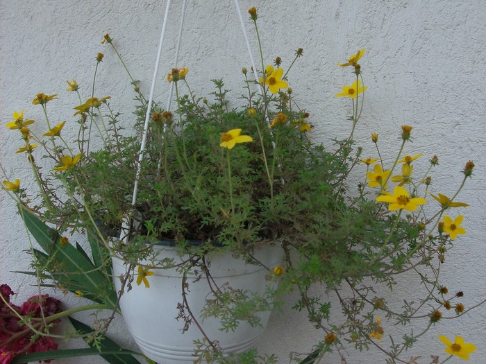 Bidens - Septembrie 2010