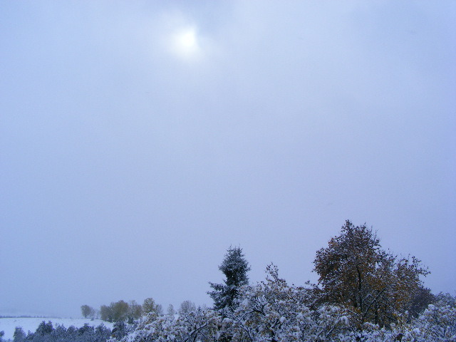 DSCF7310 - ninge in Maramu