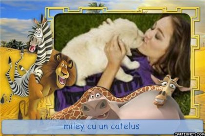 avatar cu miley- - Avatare cu Miley