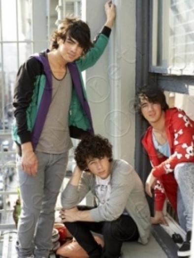 1524157 - jonas brothers