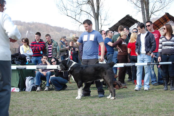 sadam_5 - Z-MASCULI CAO -cainii unor prieteni-MURAT-BALHASH-SADAM