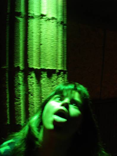 DSC03049