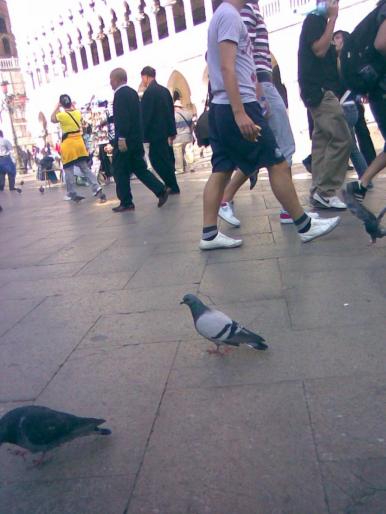 25092008(040) - 18j Venetia Italia