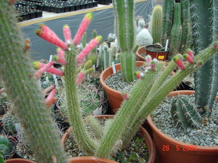 DSC05877