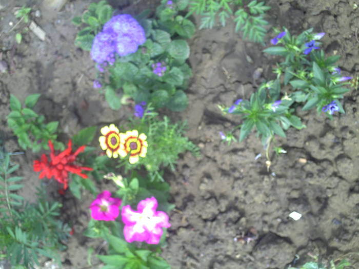 PICT0001