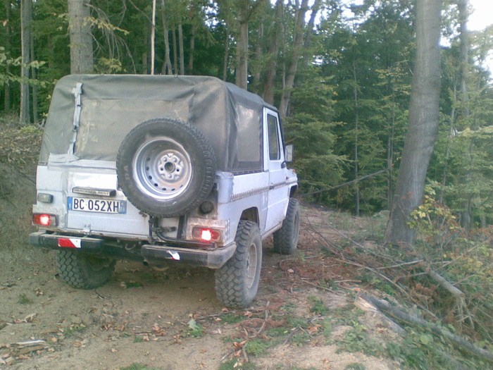 26092009(001) - vanatoare padure