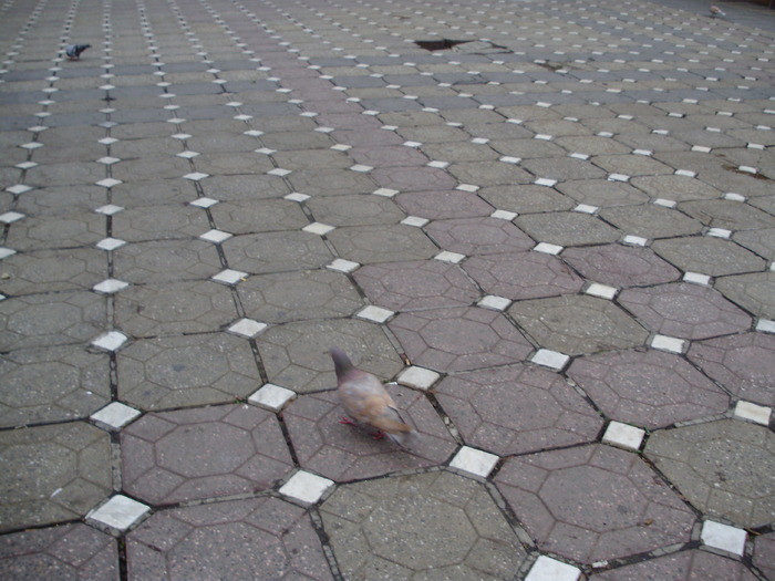 P9040013