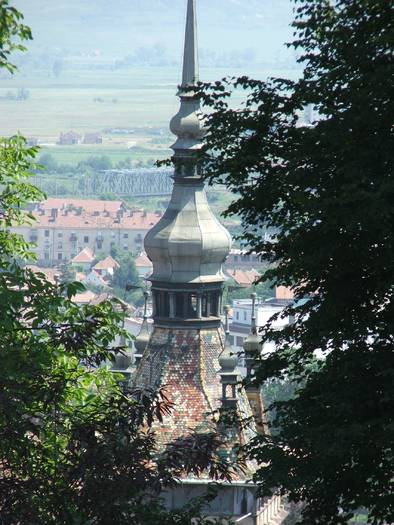 DSCF0906 - sighisoara