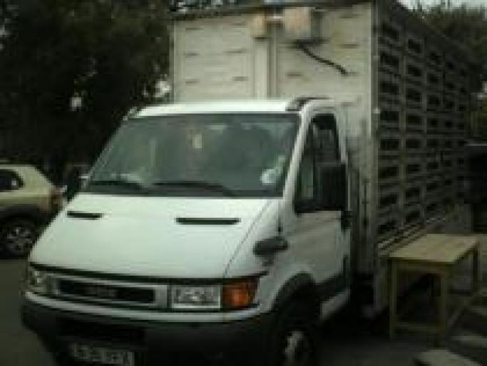 SXKZQUSNYZHJSXDXONG - ASC grivita concurs 2008