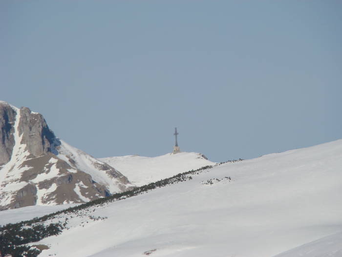 DSC01173 - Bucegi - Valea Izvorul Dorului-Padina