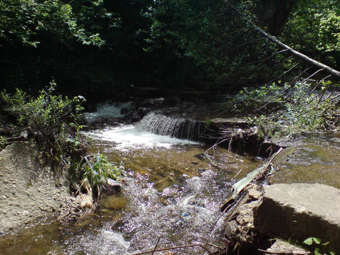DSC01757