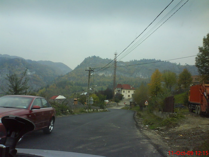 DSC02235 - transfagarasean si flora din Drauseni  BV