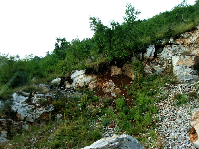 DSCF4854 - Valea Cernei