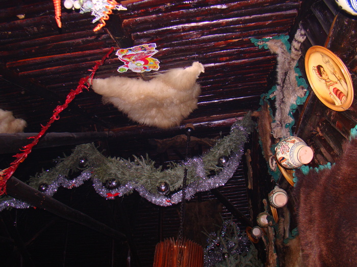 DSC00976