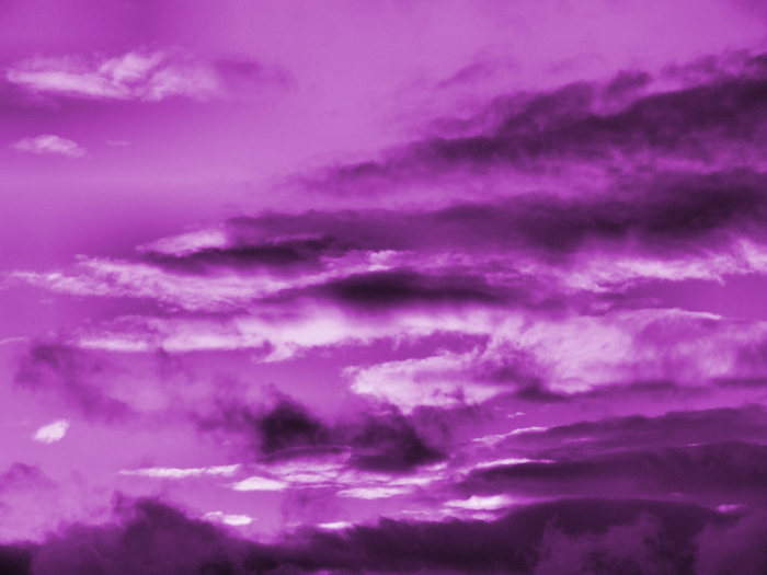 Purple-Wallpaper-purple-558782_1024_768 - Mov cool