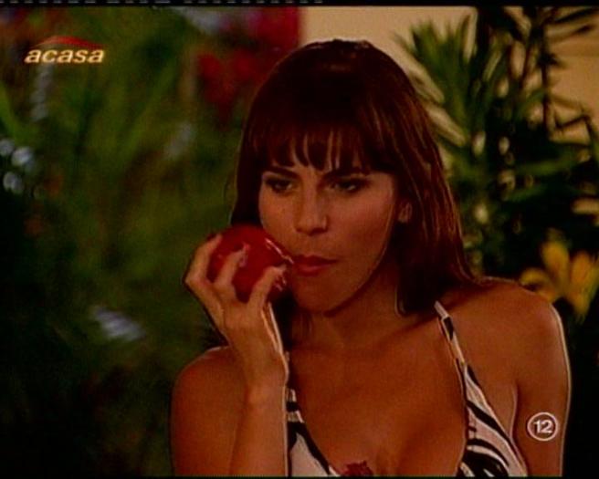 295zlnc - Fara sani nu exista paradis