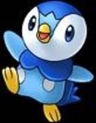 7uyhj6 - piplup