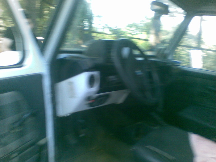 02092009(005) - padure