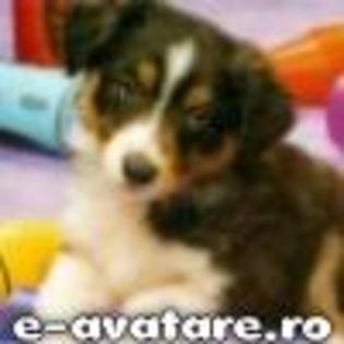 avatare_gratuite_cb5d7fa971a58434162ad88182b0d158 - CATELUSI