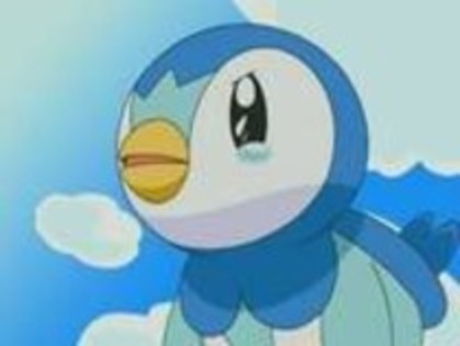 piplup