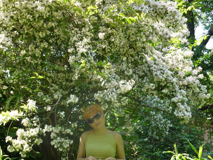 P1010838 - Gradina Botanica mai 2008