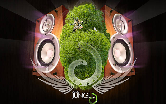 Audio-Jungle-3D-Wallpaper-11-1024X768-Wallpaper - HD Audio Wallpapers