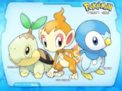 Pokemon_-_Starters