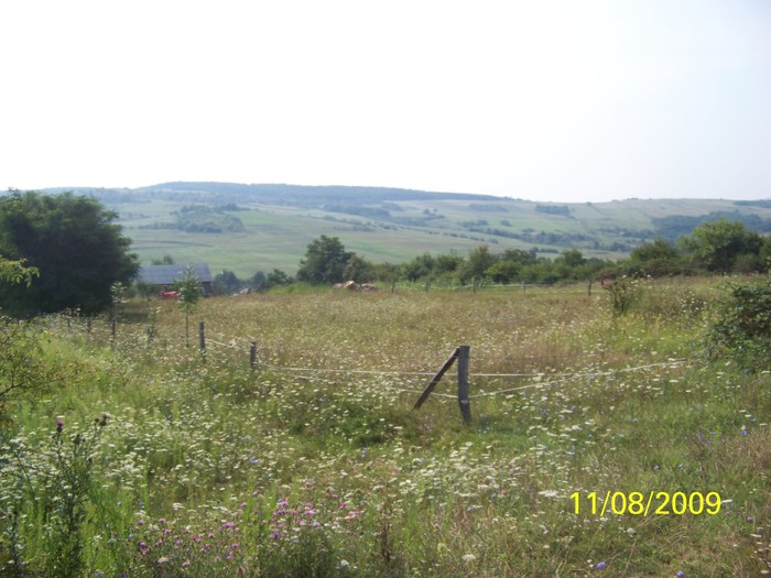 100_9752 - Marca 1-jud Salaj