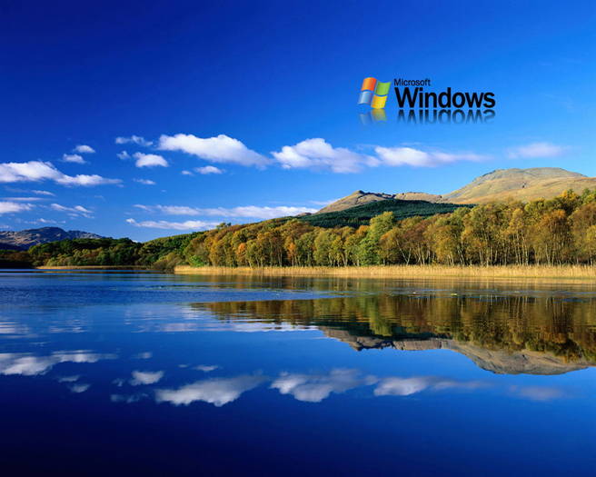 longhornserene - POZE WINDOWS VISTA