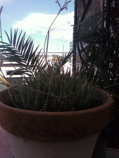 Foto0340