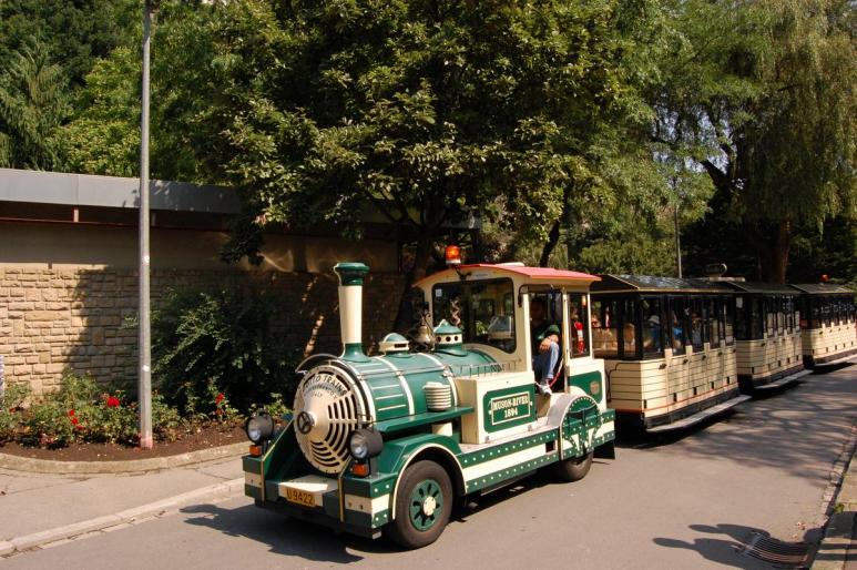 Resize of DSC_0232 - iulie 2008