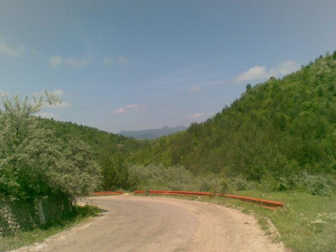 27052008 - vanatoare padure