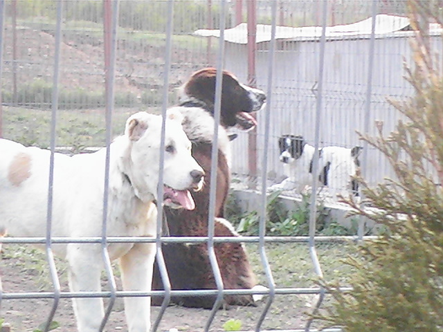 poze 01.05.2009 173
