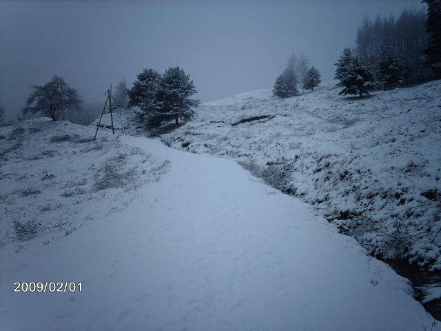 Stanisoara  01.02.2009 088 - STANISOARA- COZIA- -IARNA