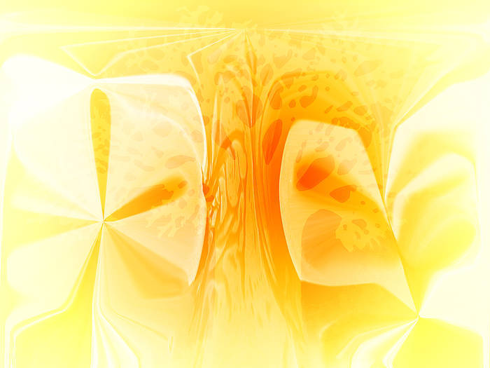 Trandafiri; Trandafiri
