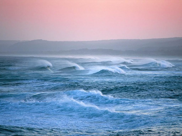 webshots482 - Animale