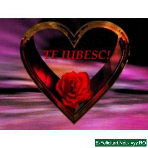 te iubesc