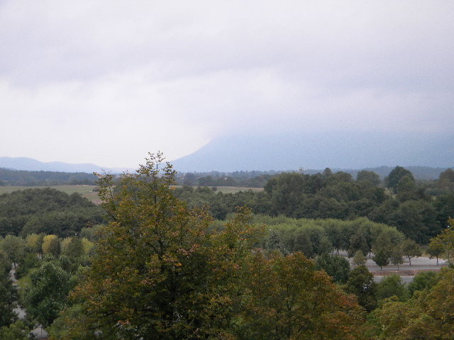 DSCN0433