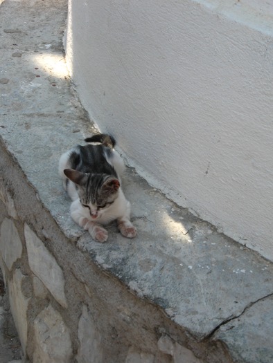 IMG_5053 - Skiathos