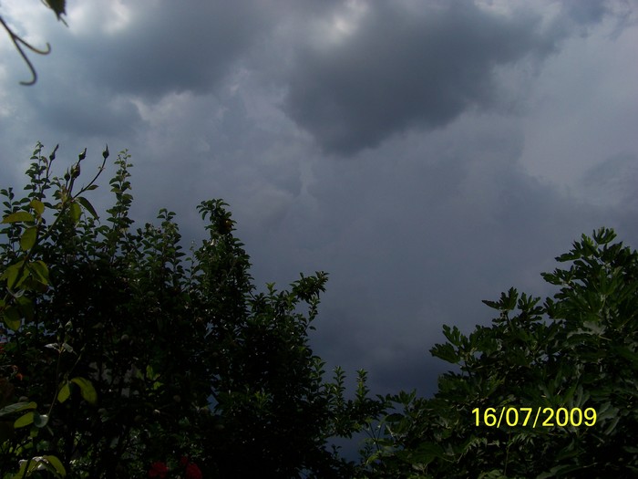 100_7866 - Iulie 2
