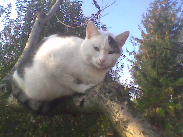 Imag096