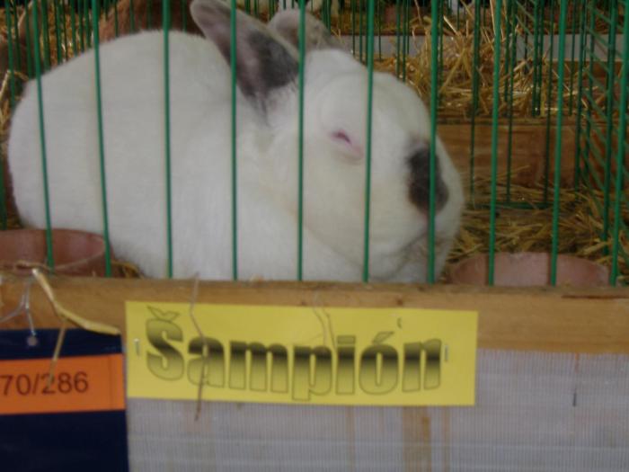 Nitra 06.12.2008 056