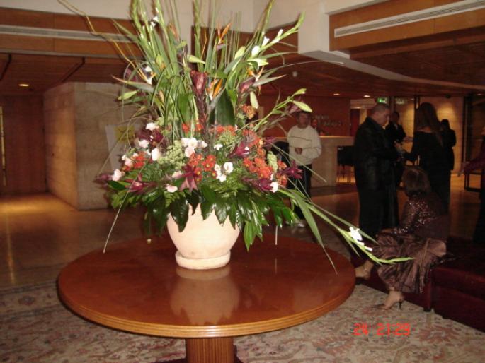 1010 Israel - Ierusalem - Hotel Regency - 2008 ISRAEL NOIEMBRIE