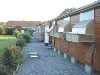 baert2 - MODELE DE CRESCATORII