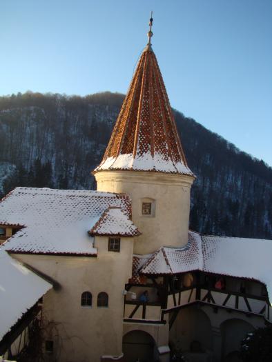 DSC05528 - poze Ianuarie 2009