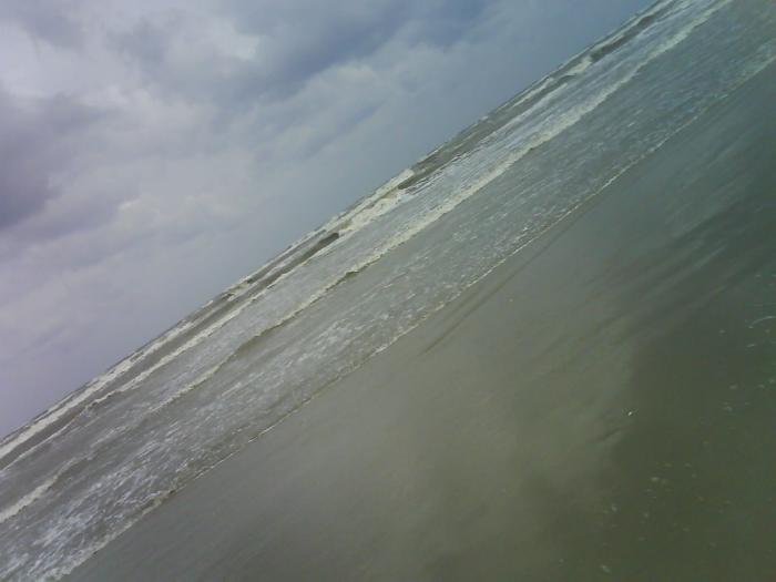 Iubesc marea - Tulcea 2008
