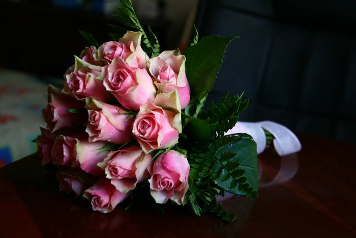 Trandafiri roz - Flori