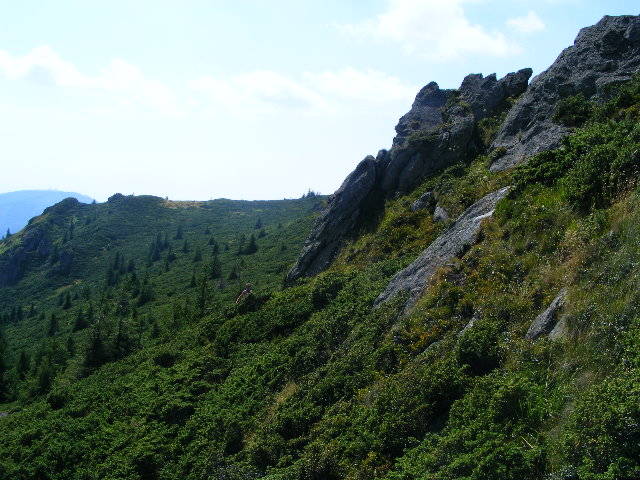 DSCF4405 - 2 august 2009 Traseu Suior Secatura Creasta Cocosului Gutaiul Doamnei  Vf Gutai