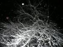 2rter - Imagini de Iarna