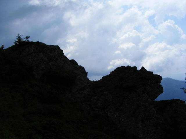 DSCF3046 - Suior Poiana Mlejnita Varful Secatura Creasta Cocosului  din Muntii Guta